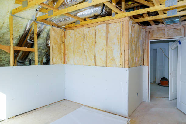 Best Energy-efficient Insulation  in Newark, TX