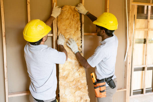 Professional Insulation Contractor in Newark, TX