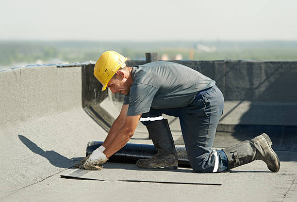 Best Crawl Space Insulation  in Newark, TX