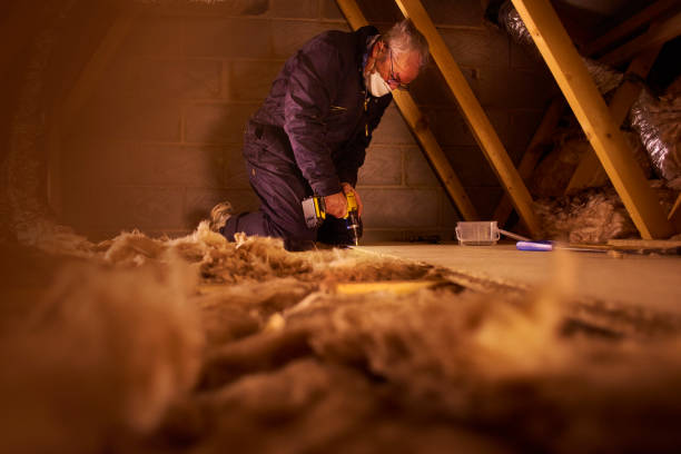 Best Cellulose Insulation  in Newark, TX